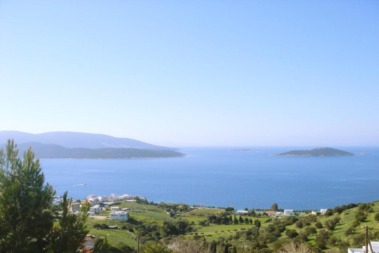 Marmari View别墅 外观 照片